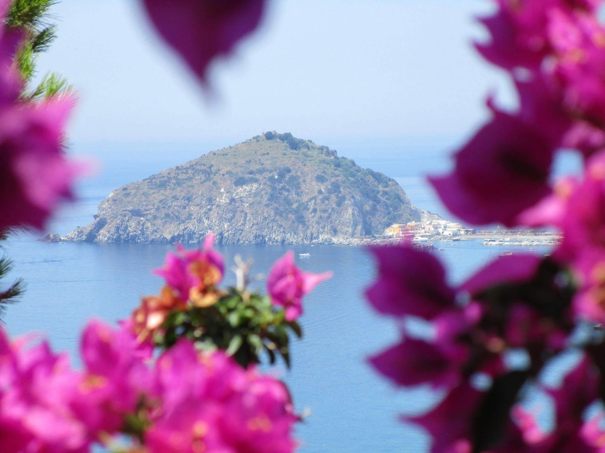 Hotel Villa Al Mare Barano d'Ischia Exterior photo