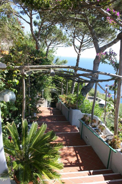 Hotel Villa Al Mare Barano d'Ischia Exterior photo